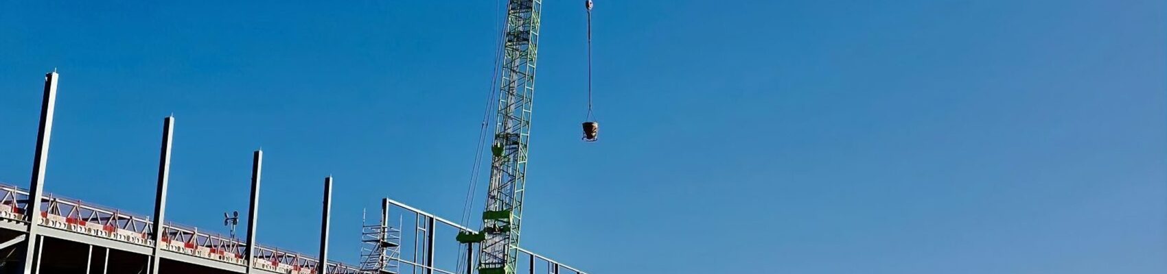 Cranes top banner image